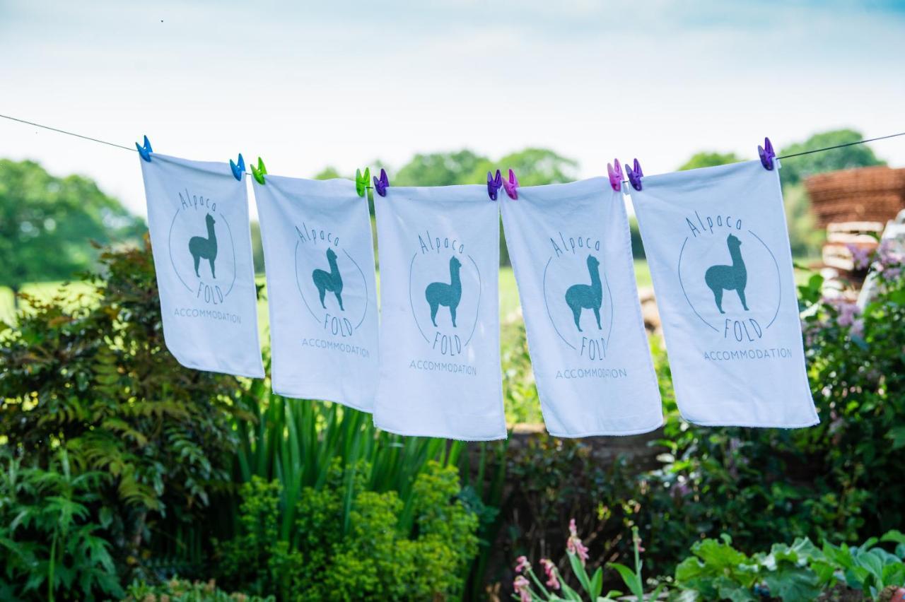 Villa Alpaca Fold à Preston  Extérieur photo